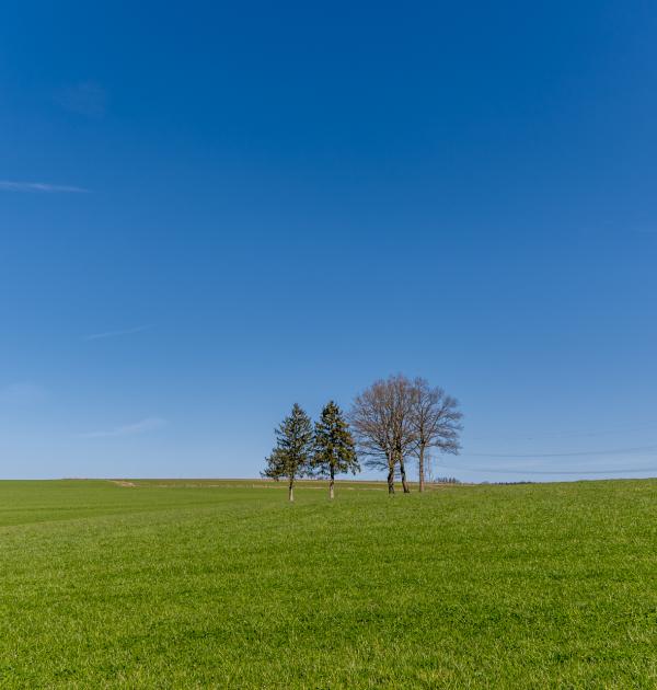 Houffalize