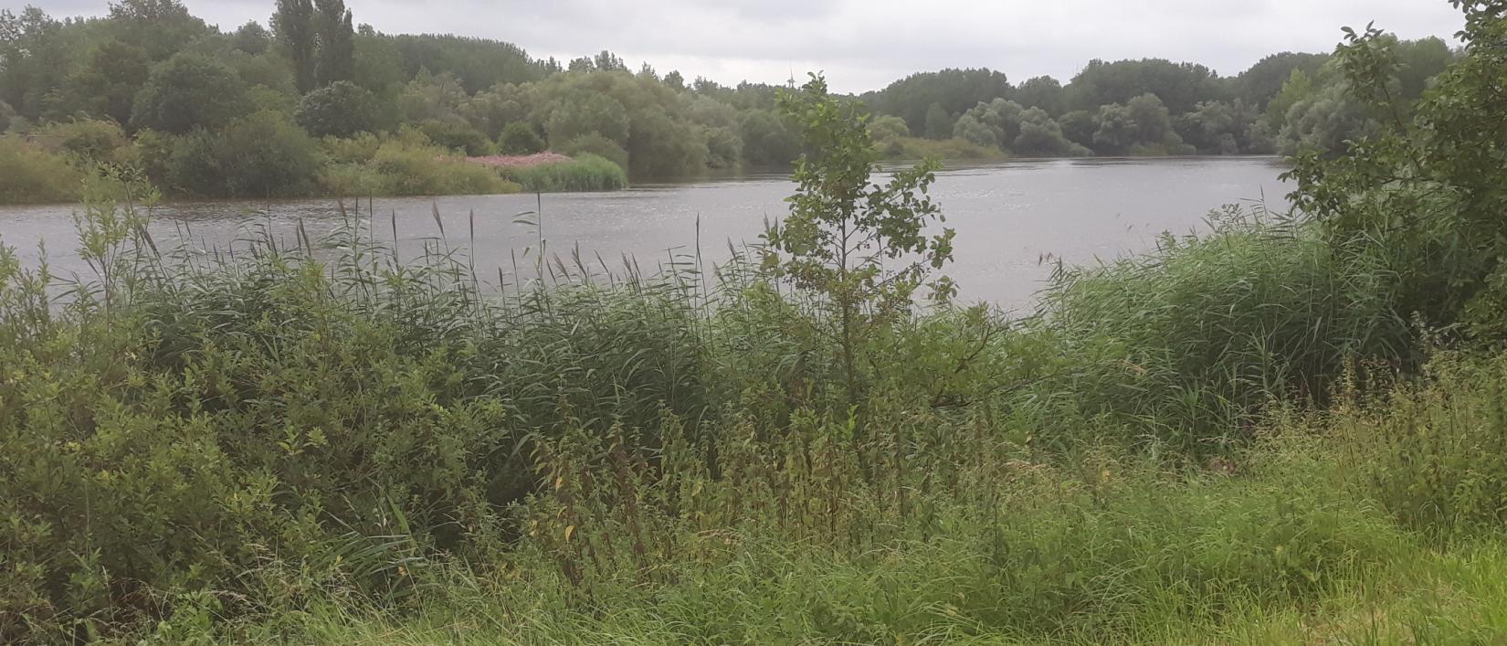 Hoogtij op de Schelde