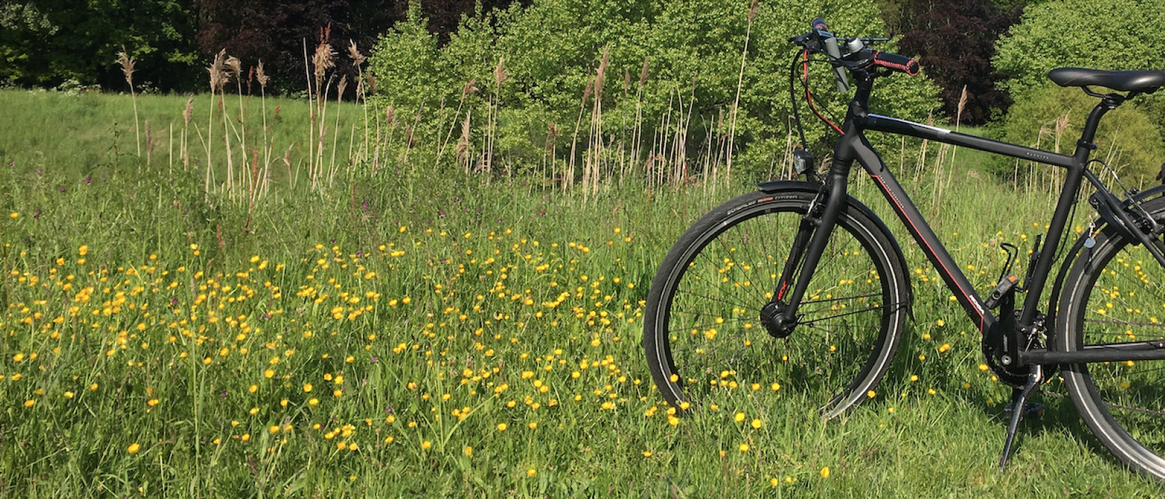 Fiets natuur