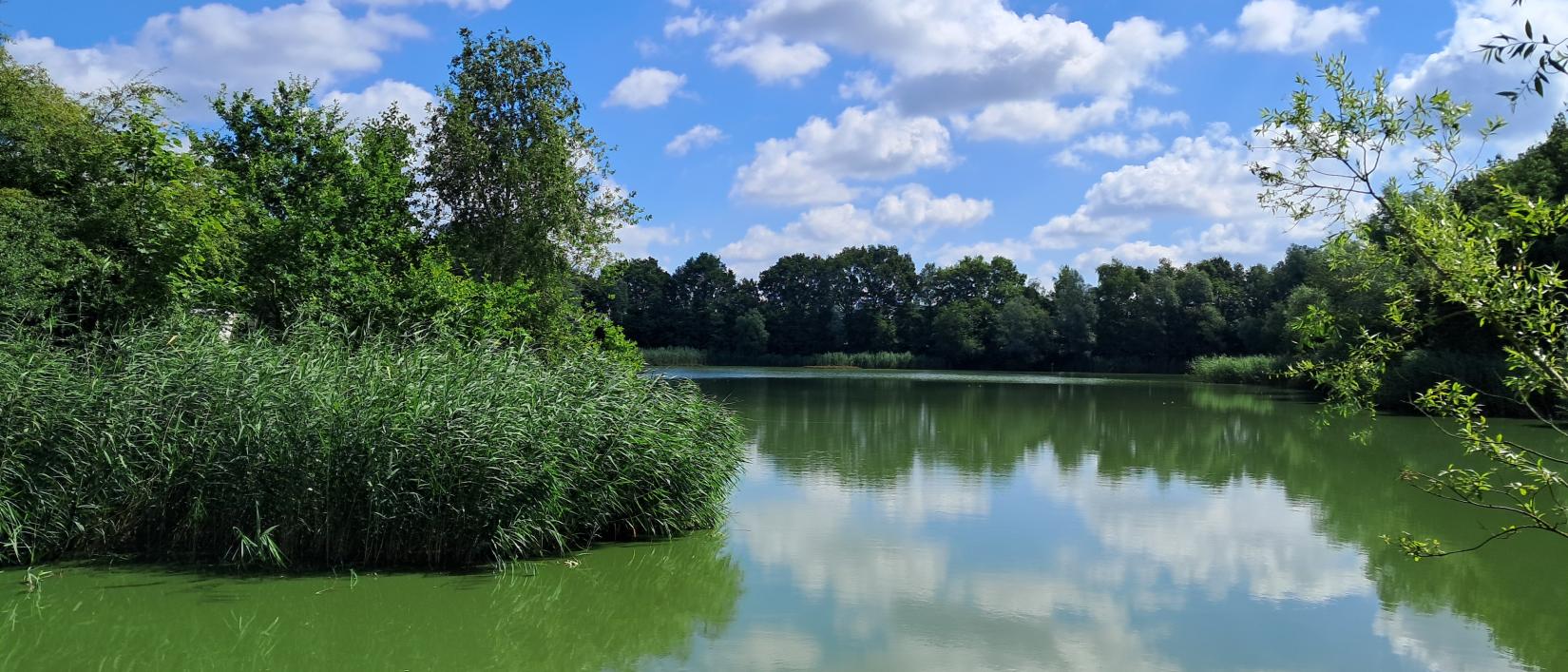 Bufferbekken in Kleit - Maldegem