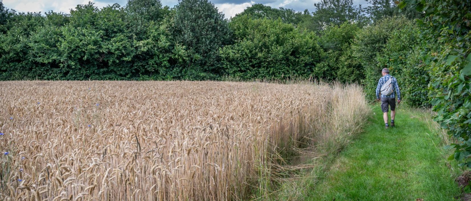 Achterhoek