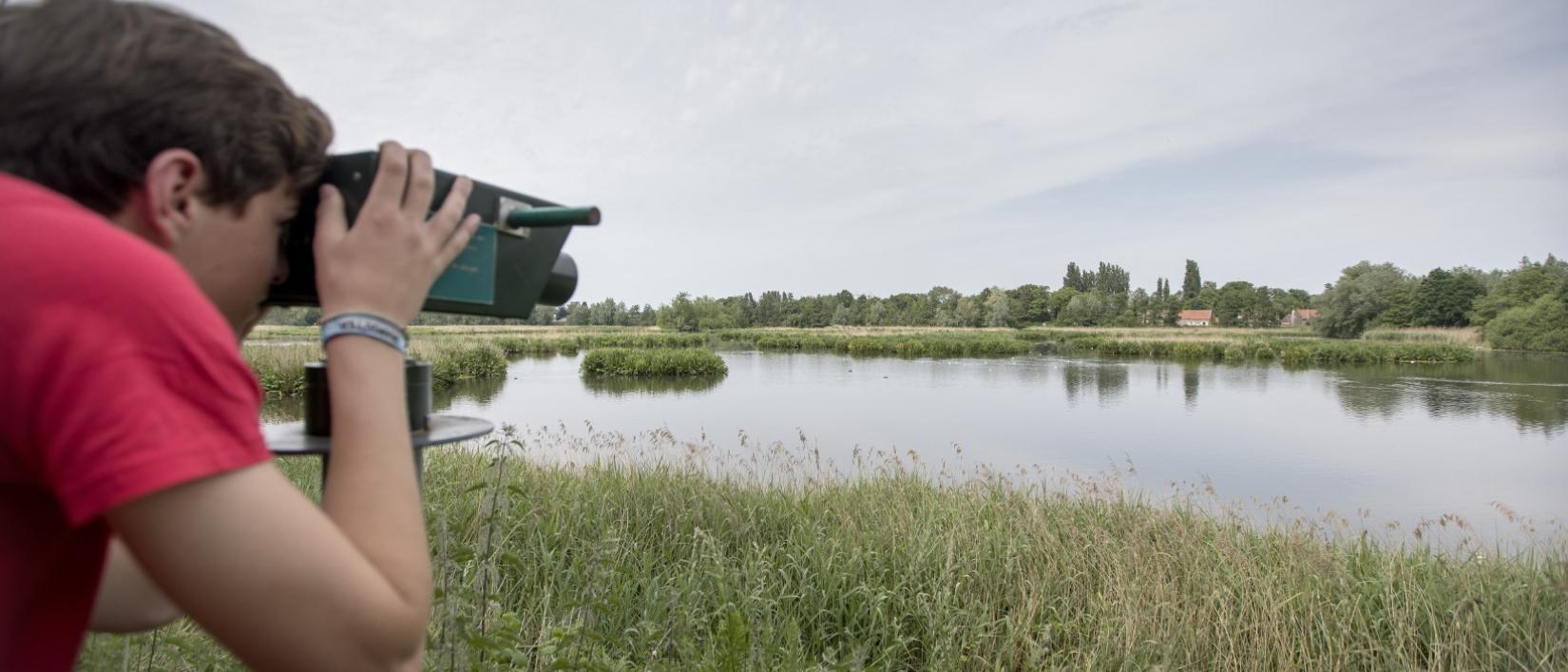 Molsbroek