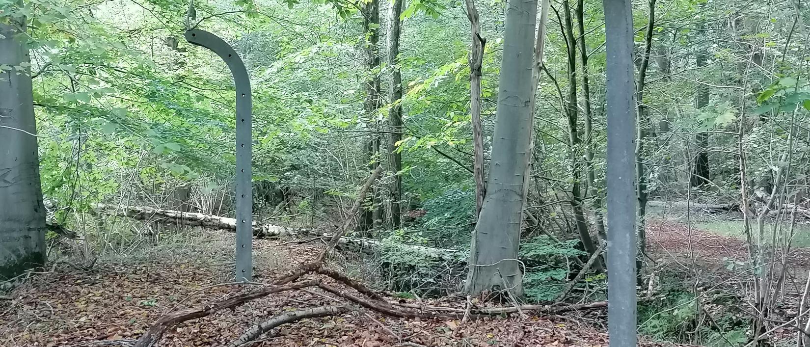 Het Leen