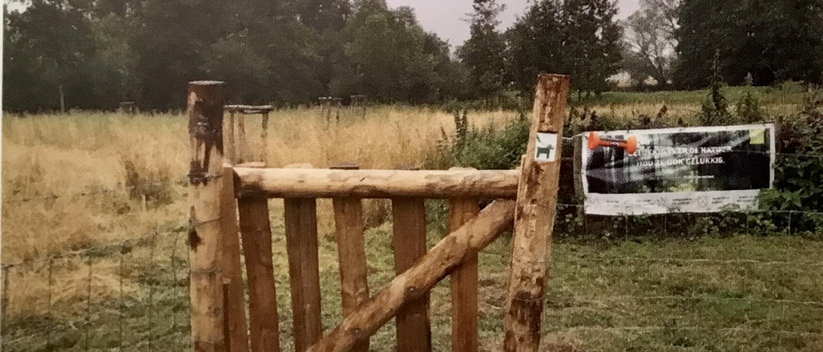 Rietkraag Puttenberk