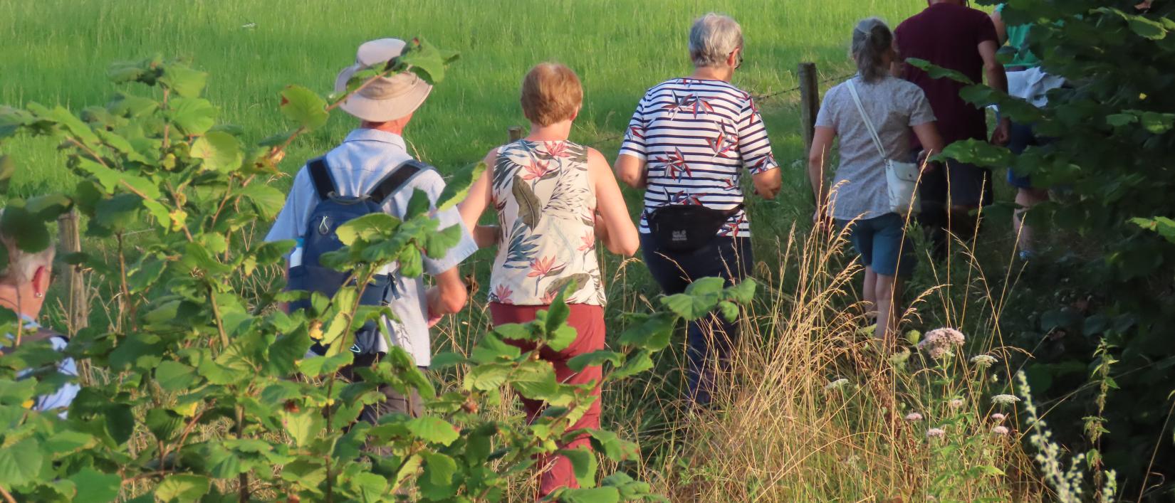 Wandelaars tijdens een avondwandeling van Pasar