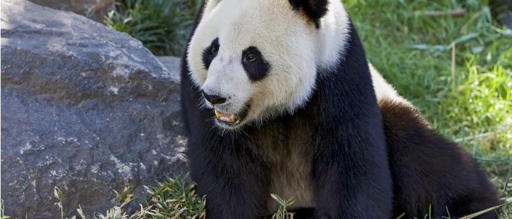 Zoo Antwerpen