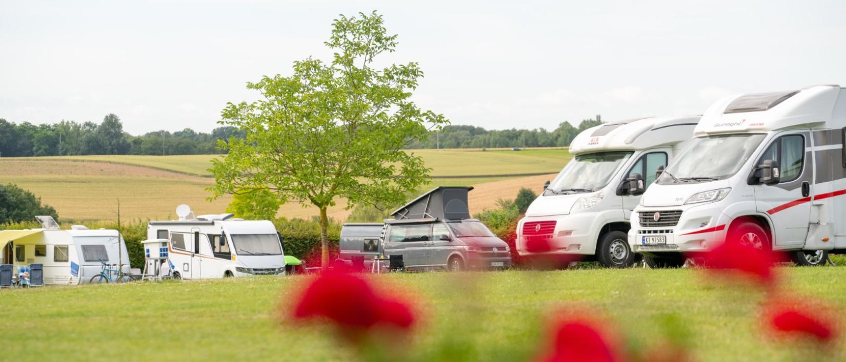 camping druivenland