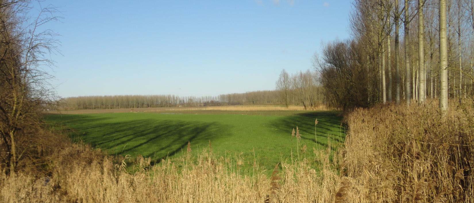 zicht op polders