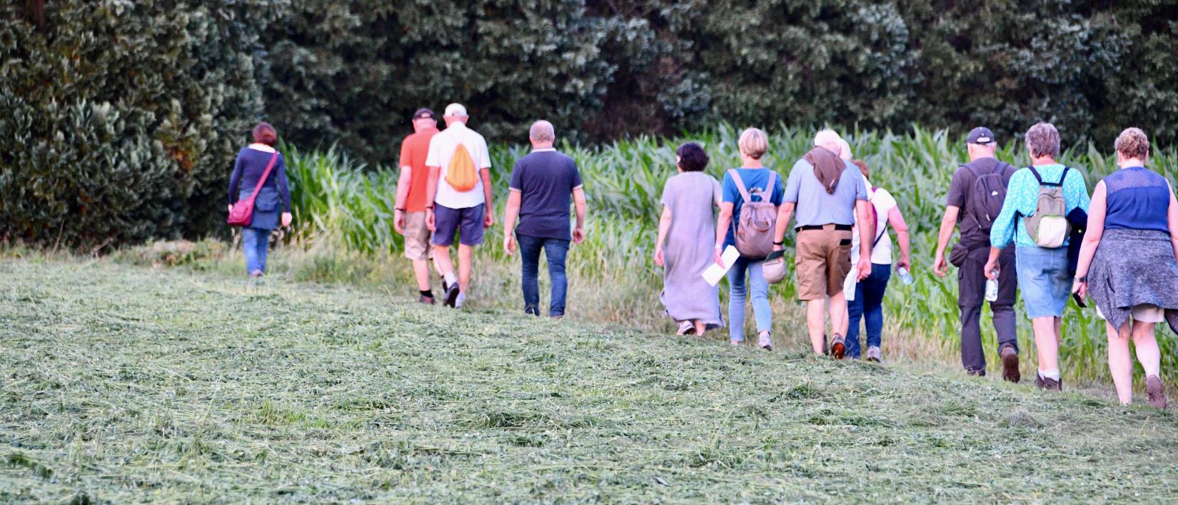 ochtendwandeling
