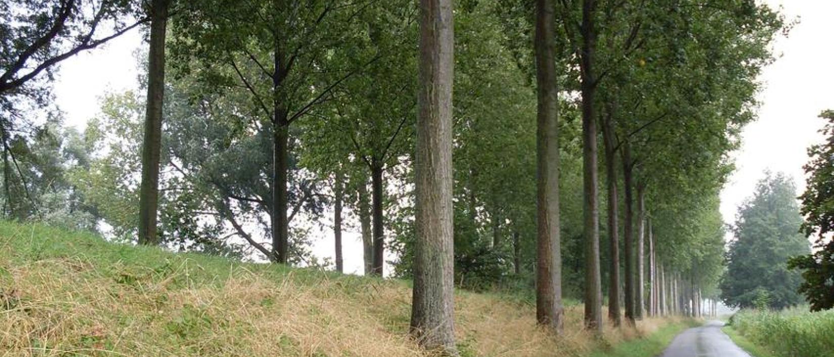 zicht op wandelweg langs de dijk
