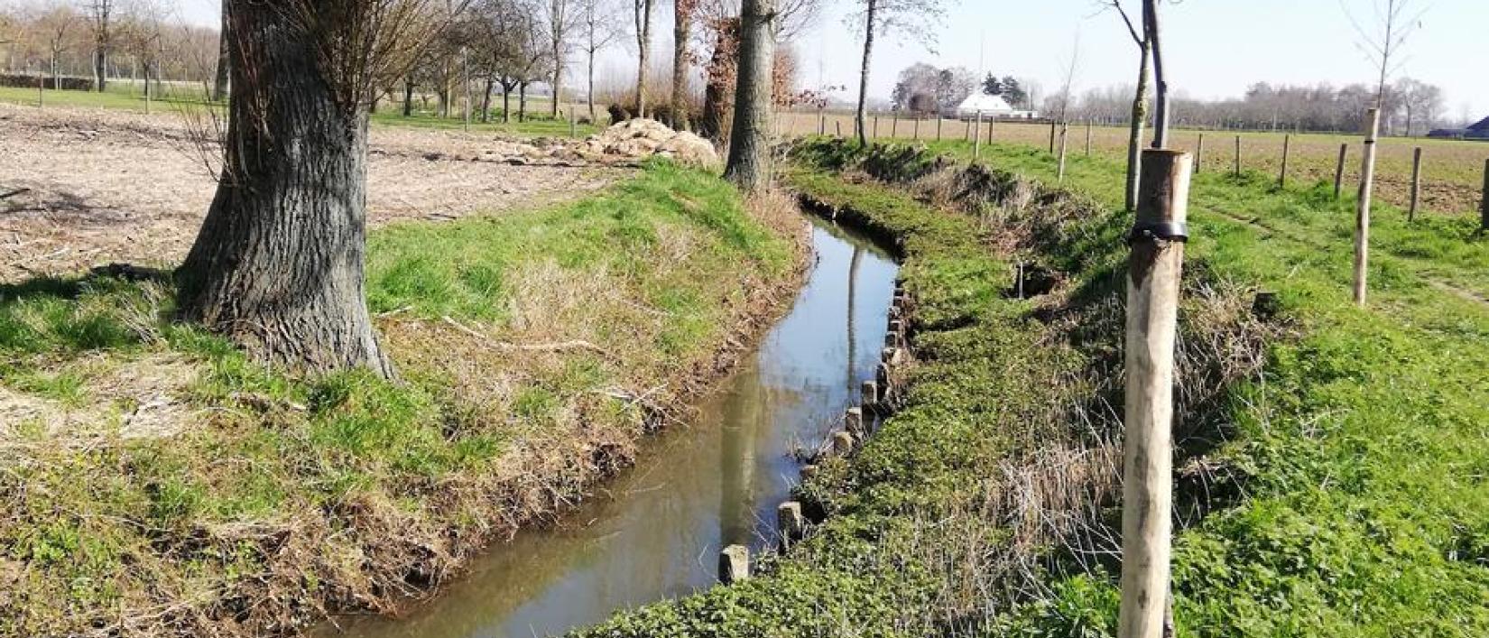 Trage weg