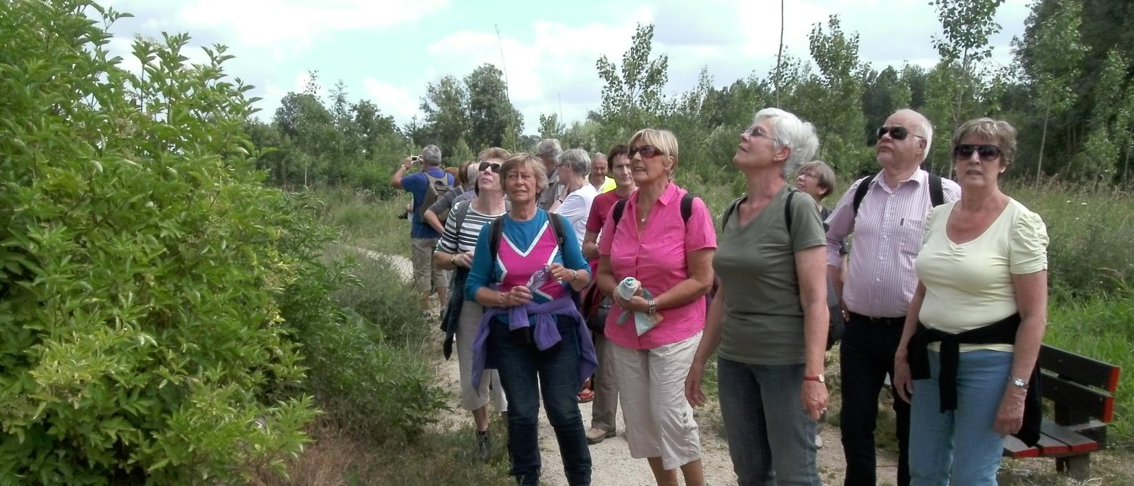 In de natuur van Zoutleeuw