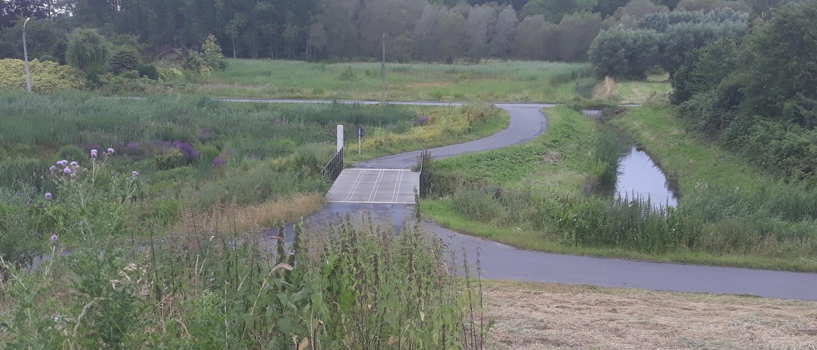 Vlassenbroekse polder