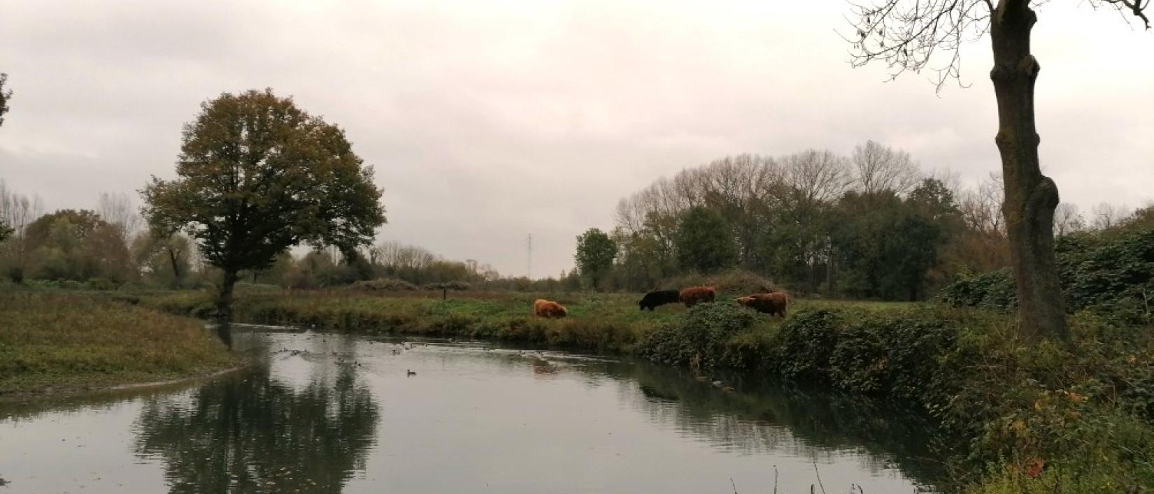 Oude Zennemeander