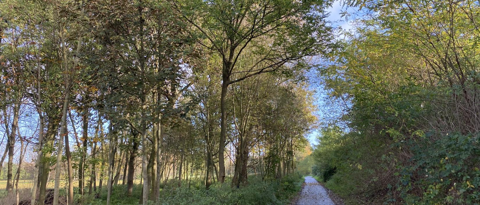 Wandelpad in Weerde