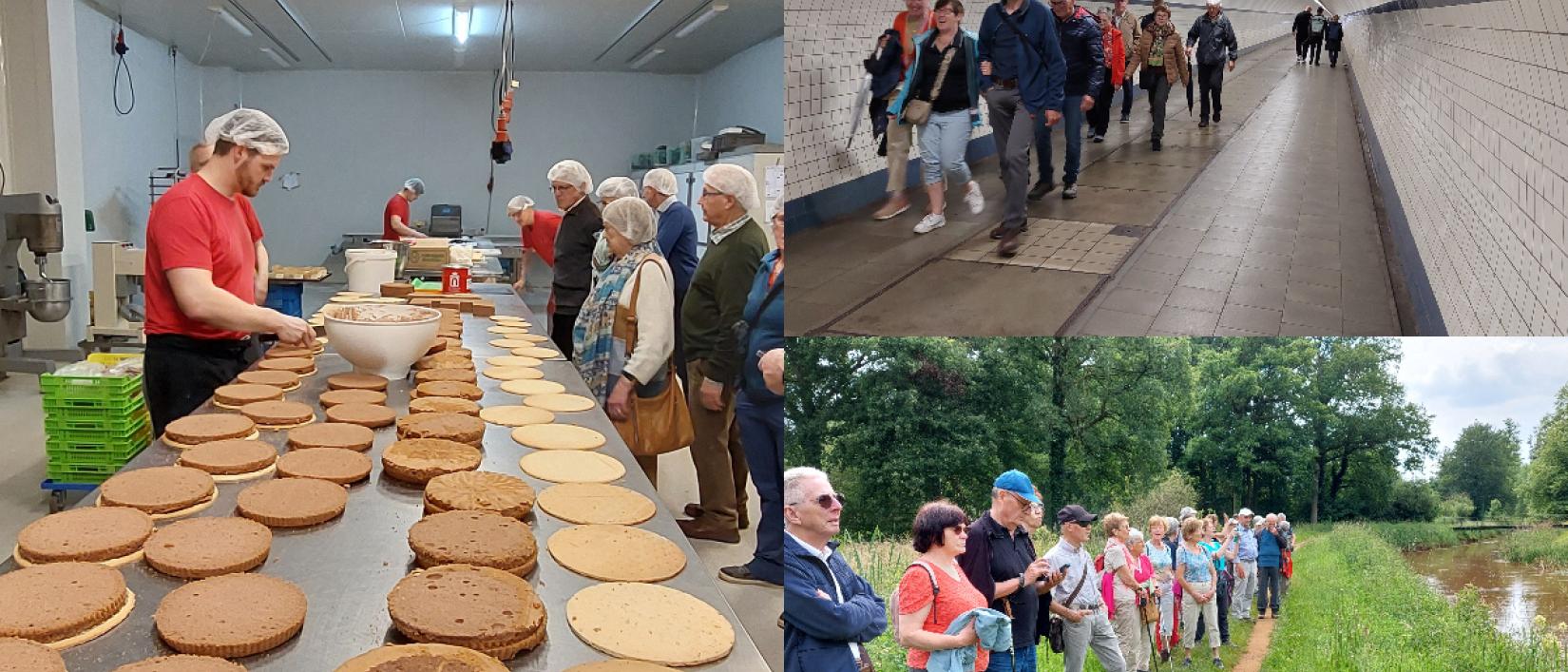 collage van enkele activiteiten 2024