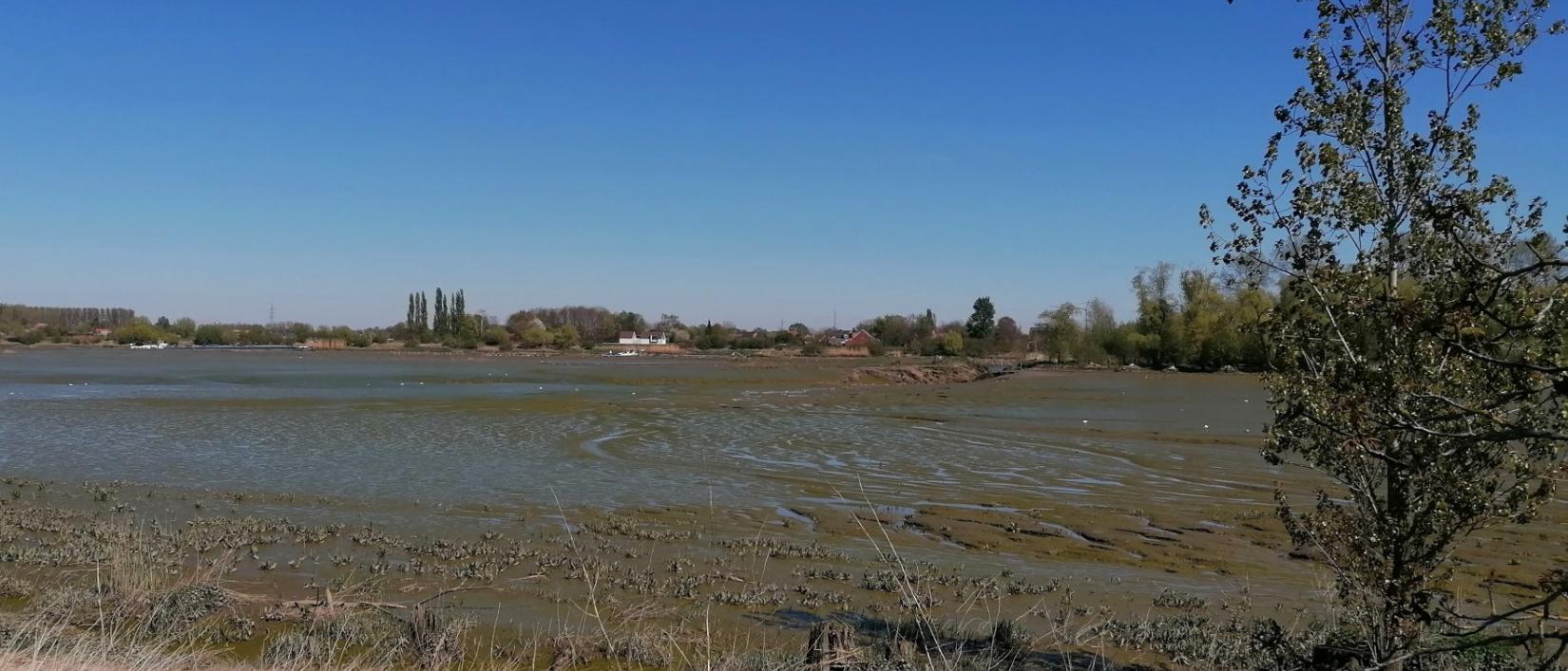 Slikken en schorren van Kastel