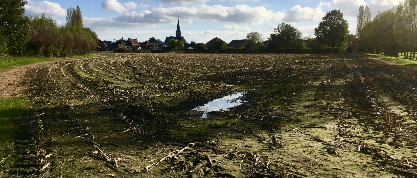 Knesselare