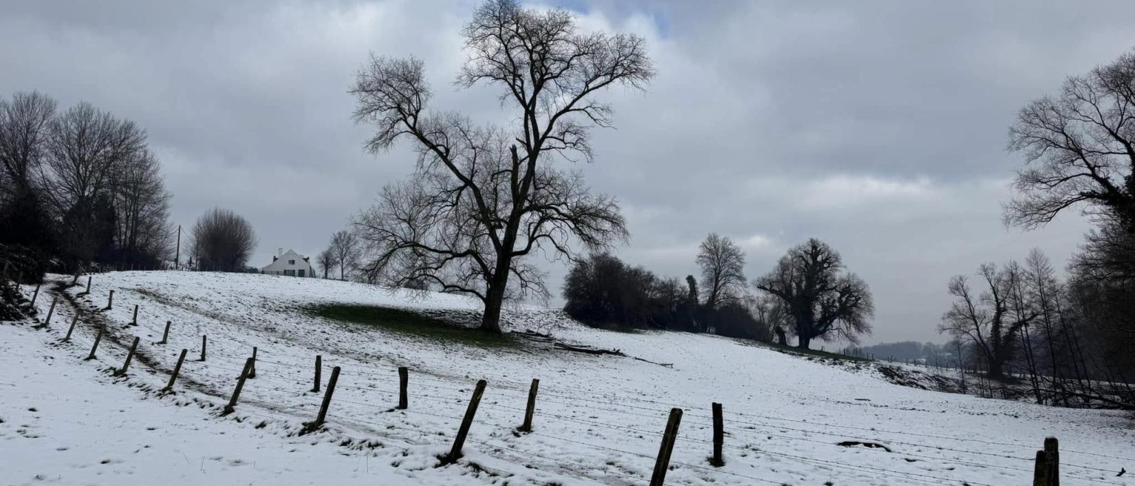 op zaterdag in de sneeuw ? of in het groen ?