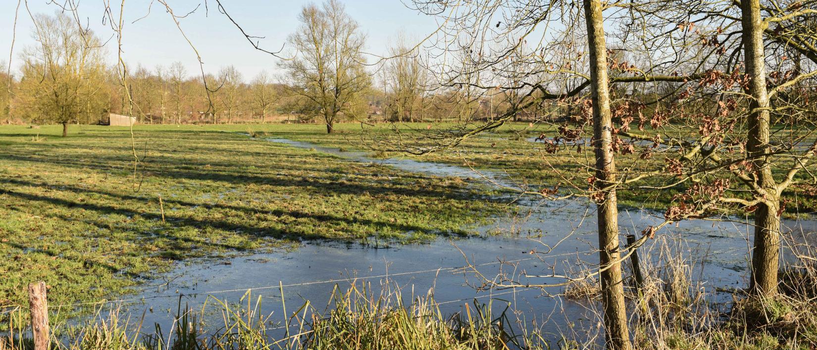 drassige Scheldemeersen