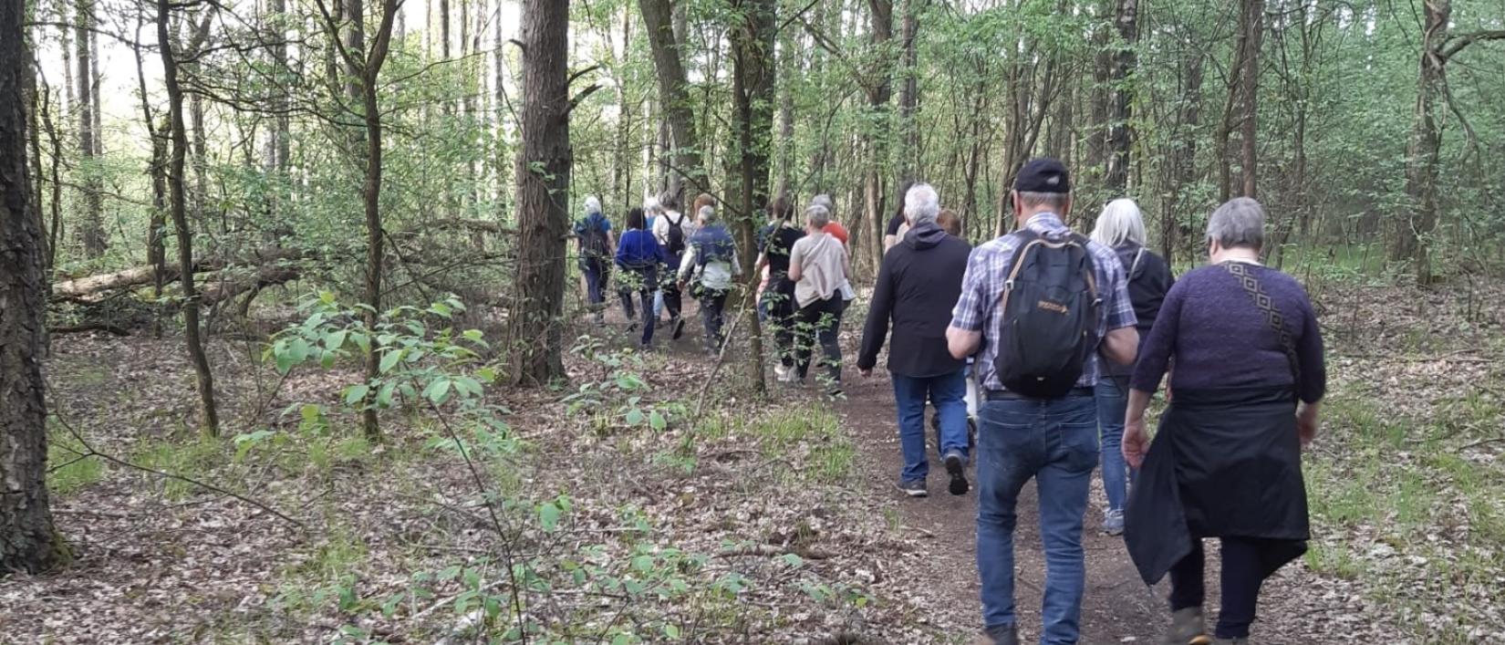 Stiltewandeling
