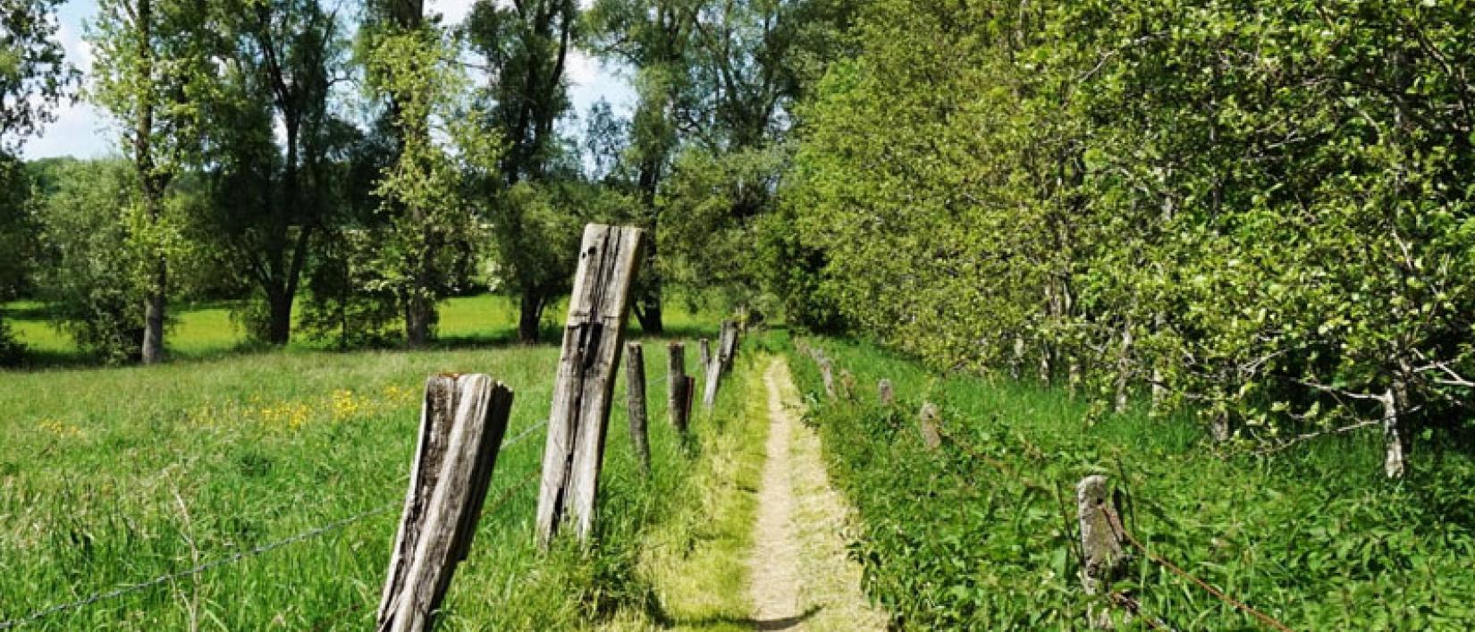 Wandelpad