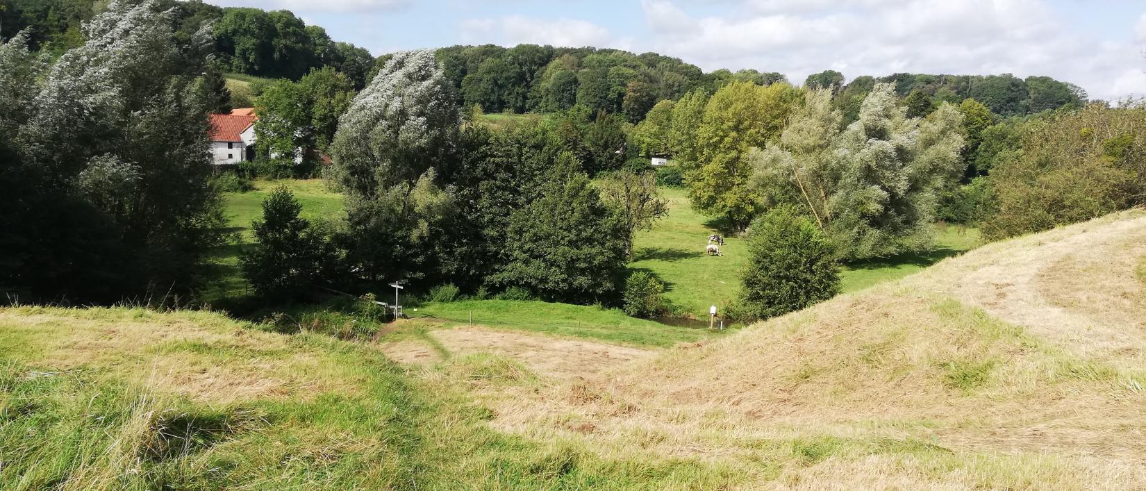 Wandelpad