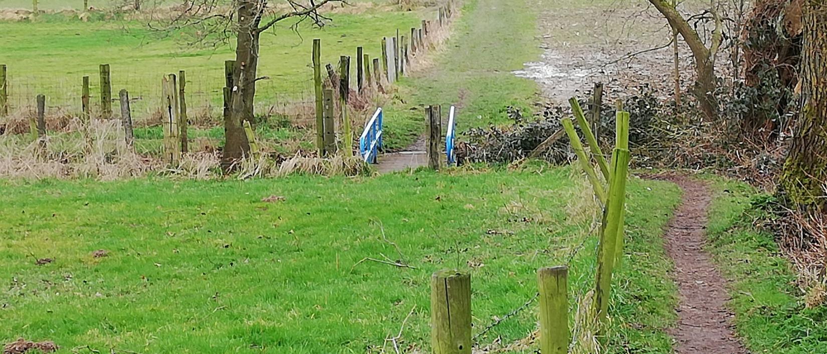 Wandelpad