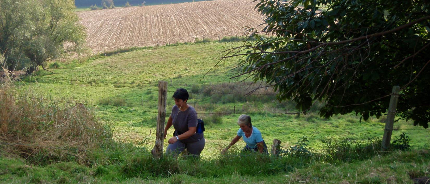 Vlaamse Ardennen