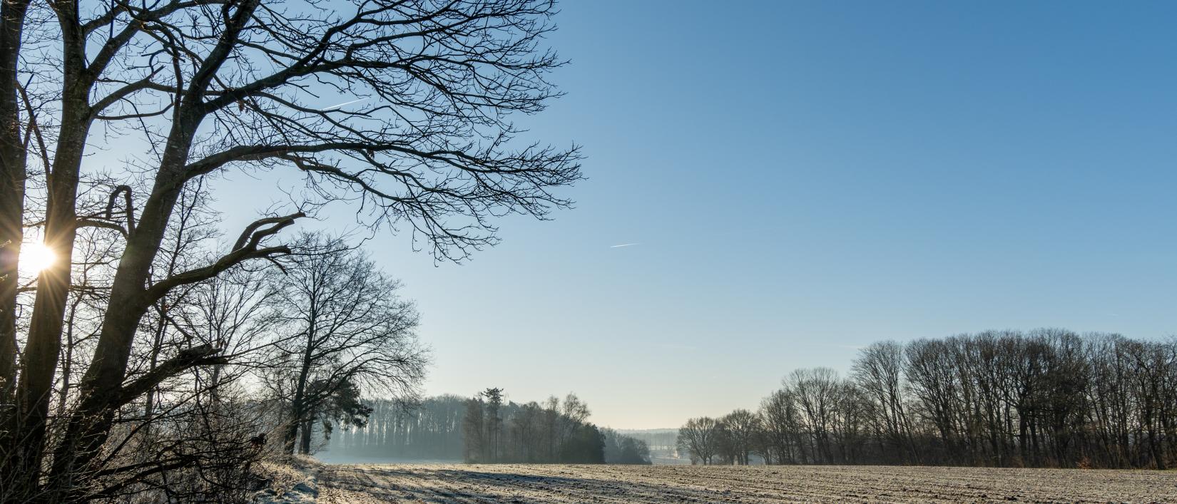 Schaffen