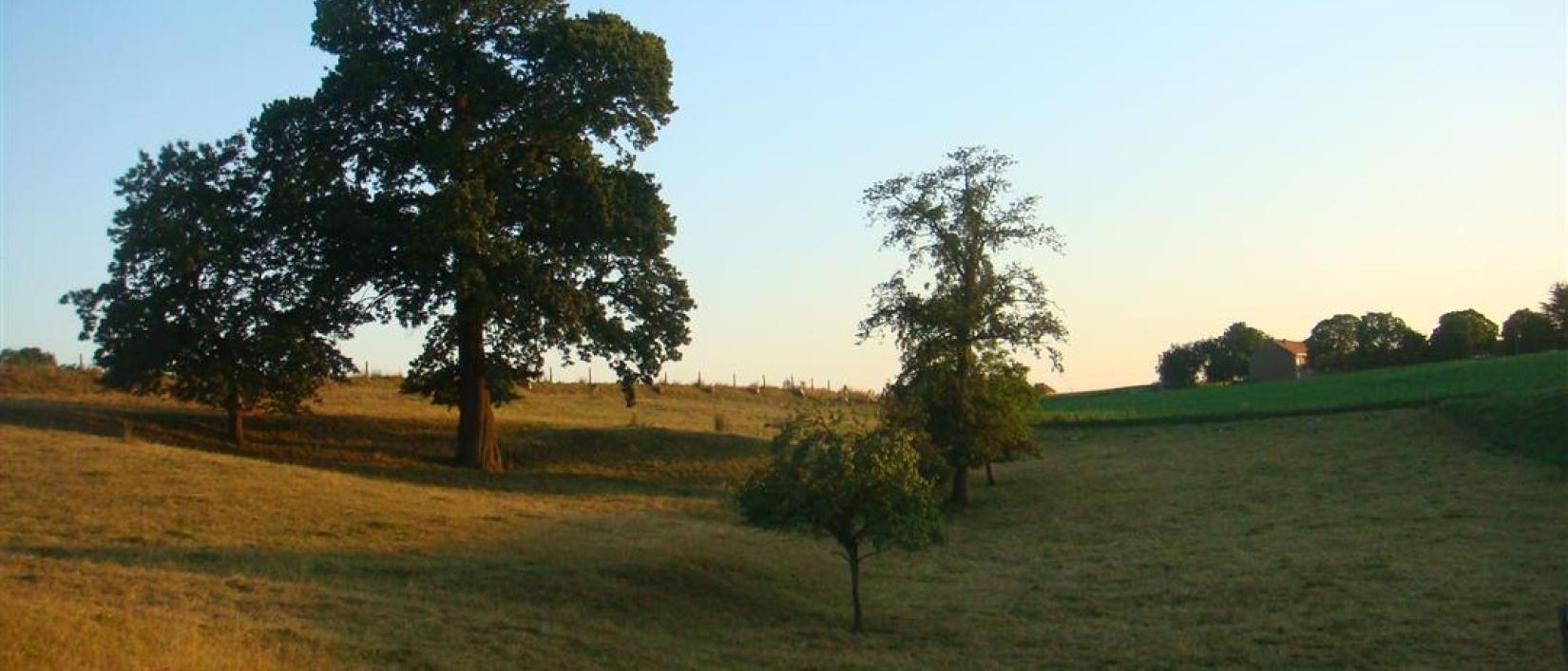 kwadeschuur