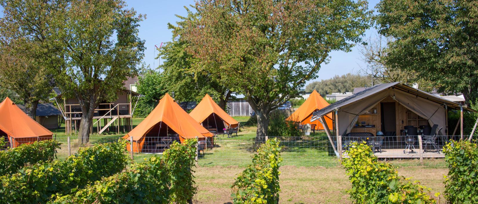 camping de boomgaard