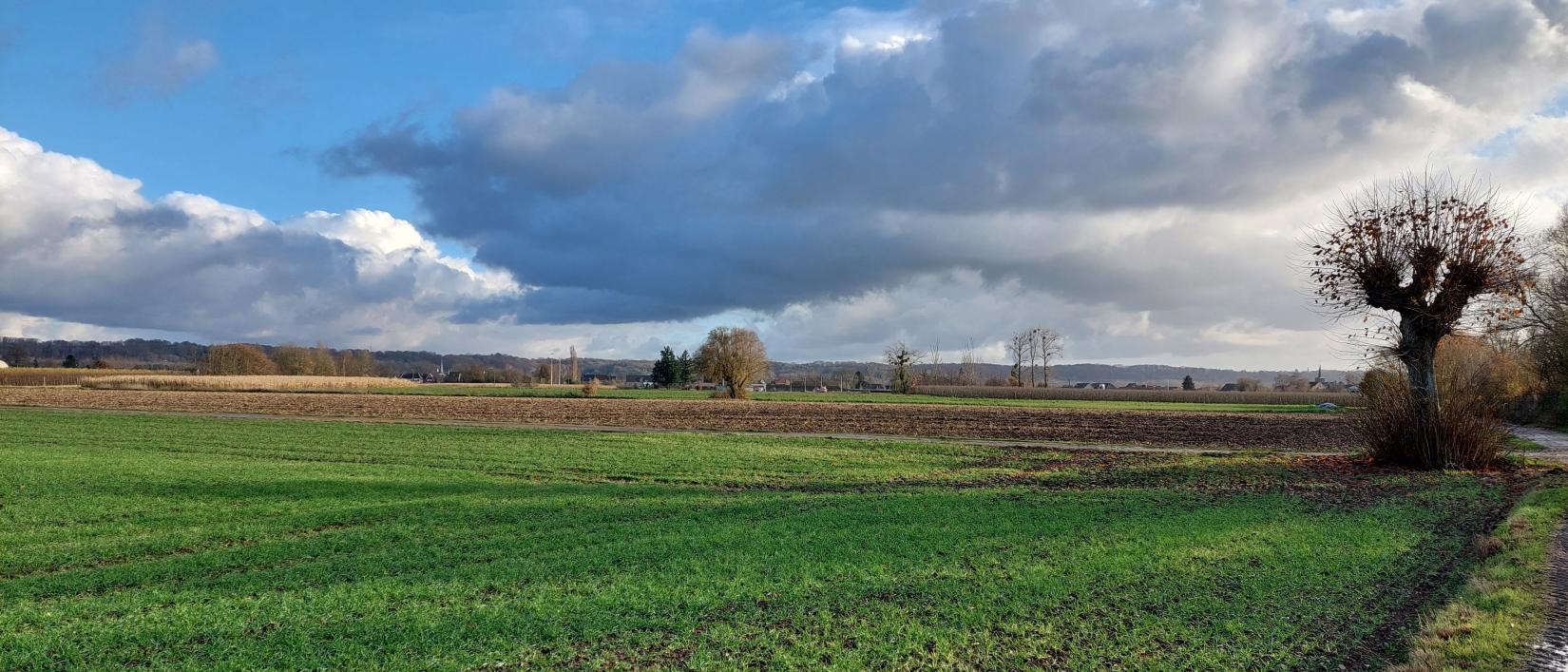 open landschap