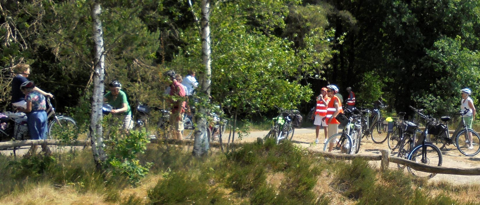 Pasar Zemst op de heide