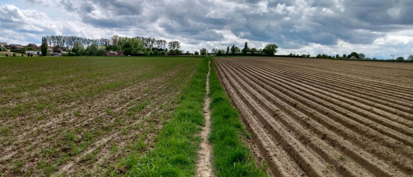 Wandelpad
