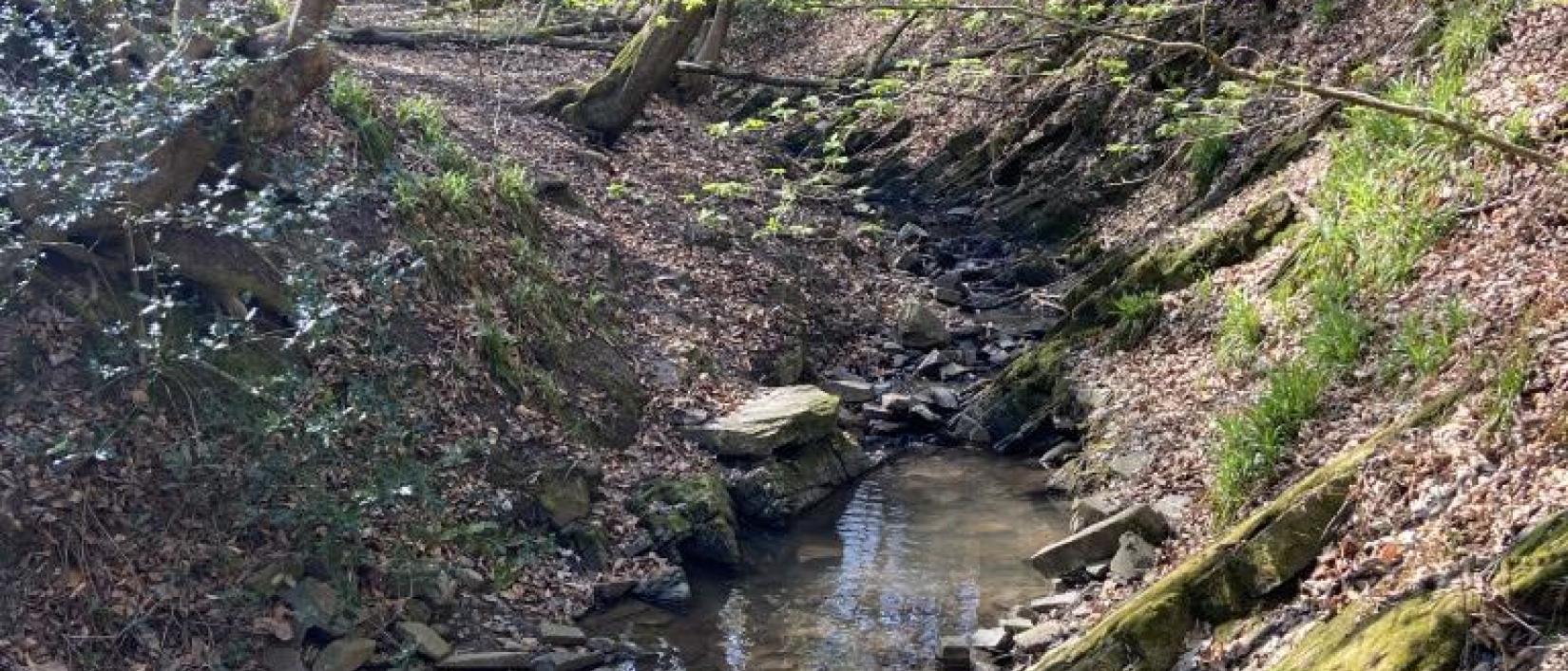 Chaudfontaine