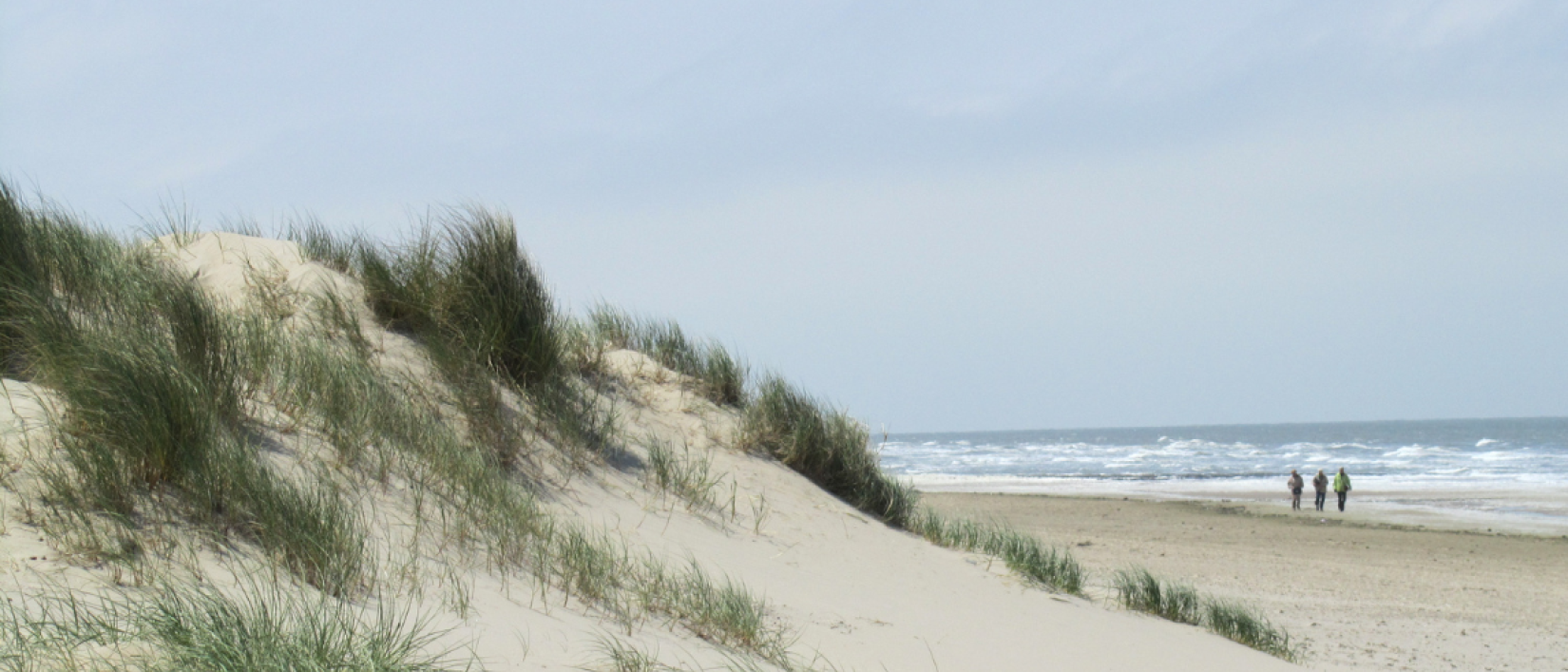 Belgische kust