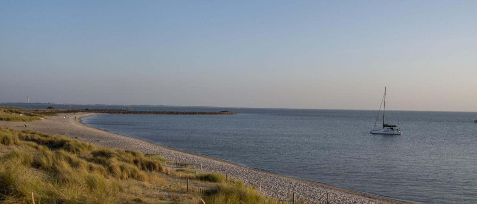 marker wadden