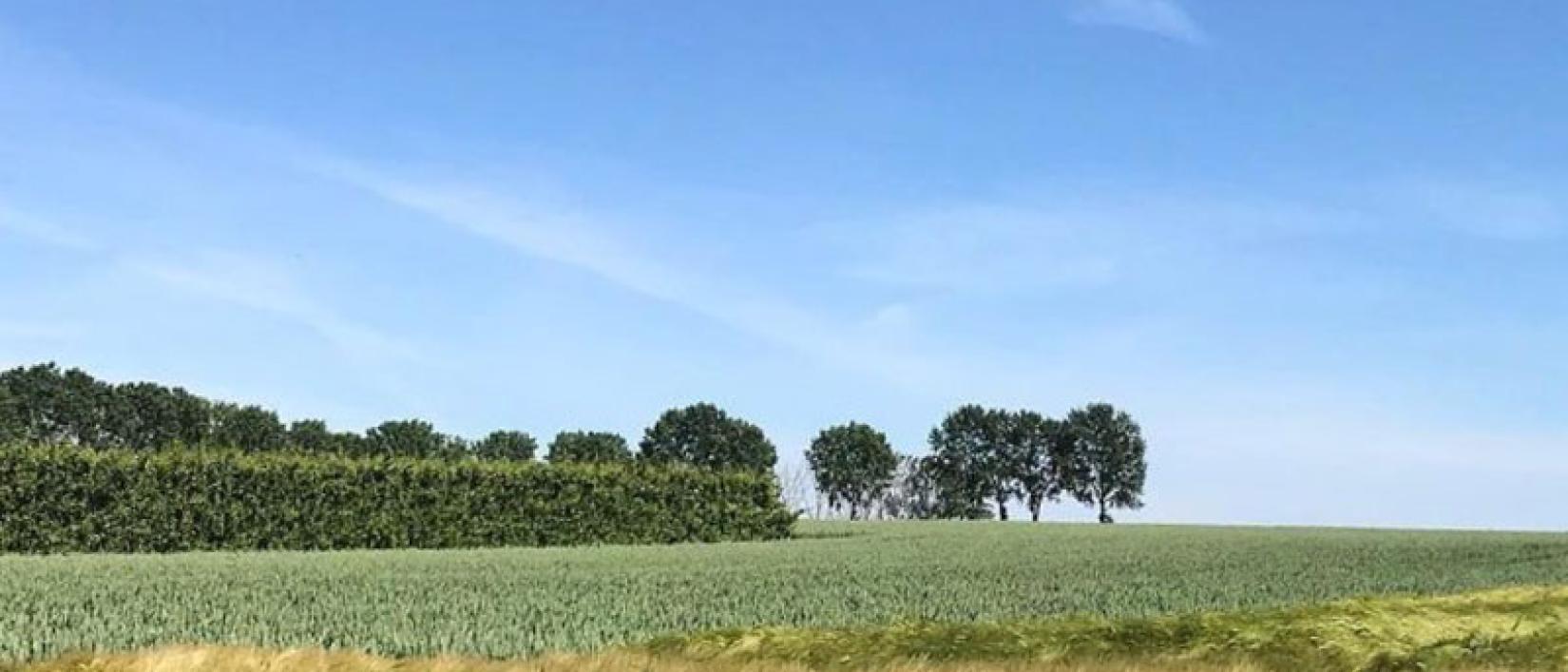 Boeslinterwandeling