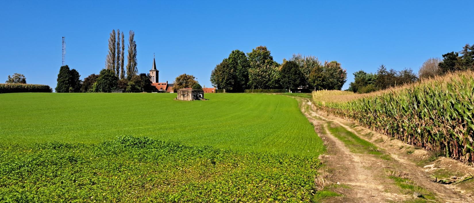 wandelen