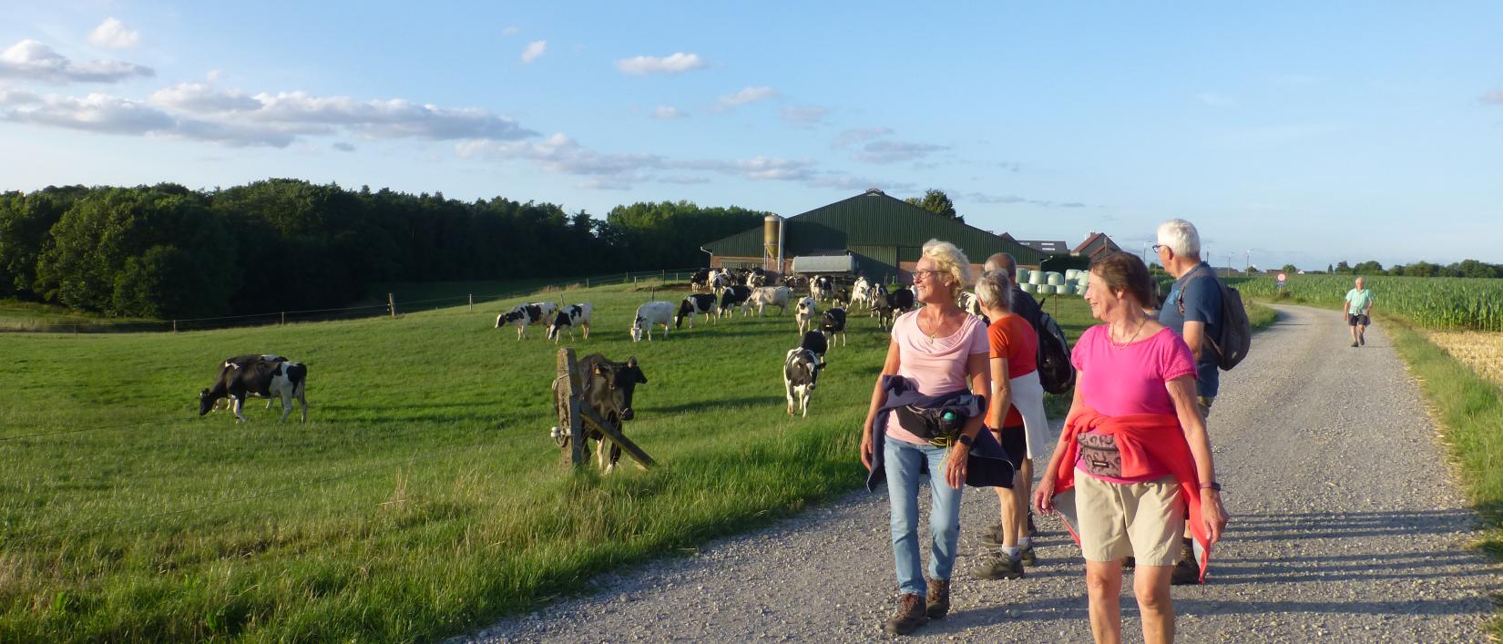 Landelijke wandeling