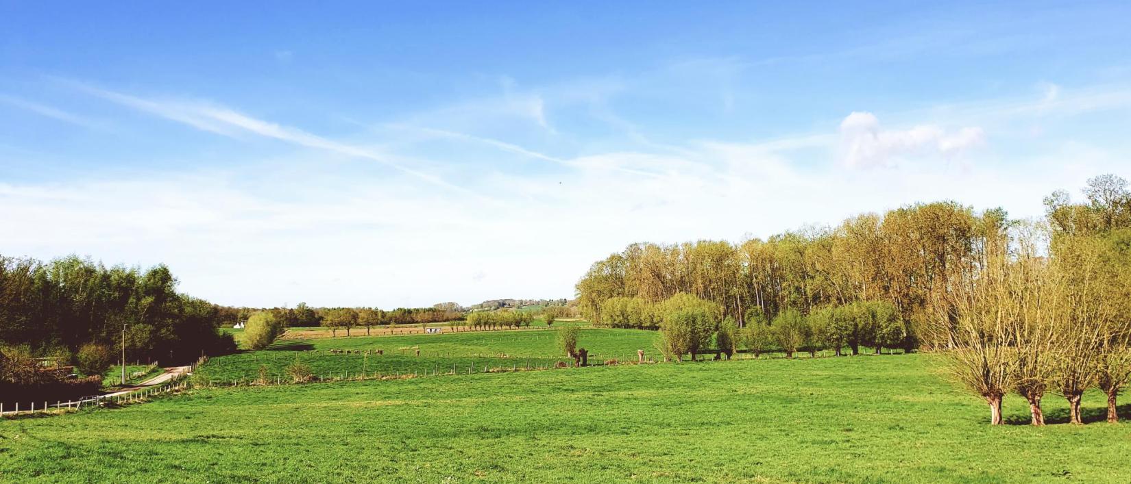 Landschap in Pajottenland