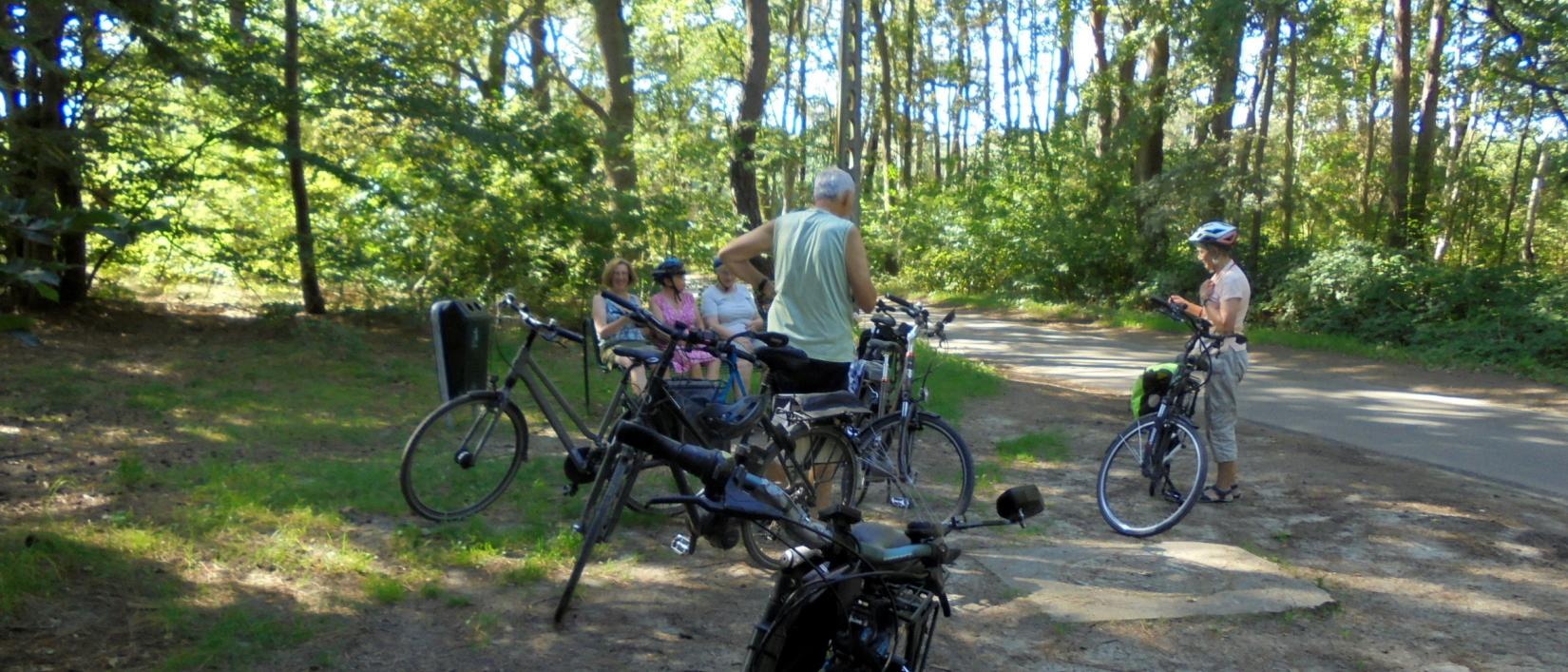 Rustpauze in het bos