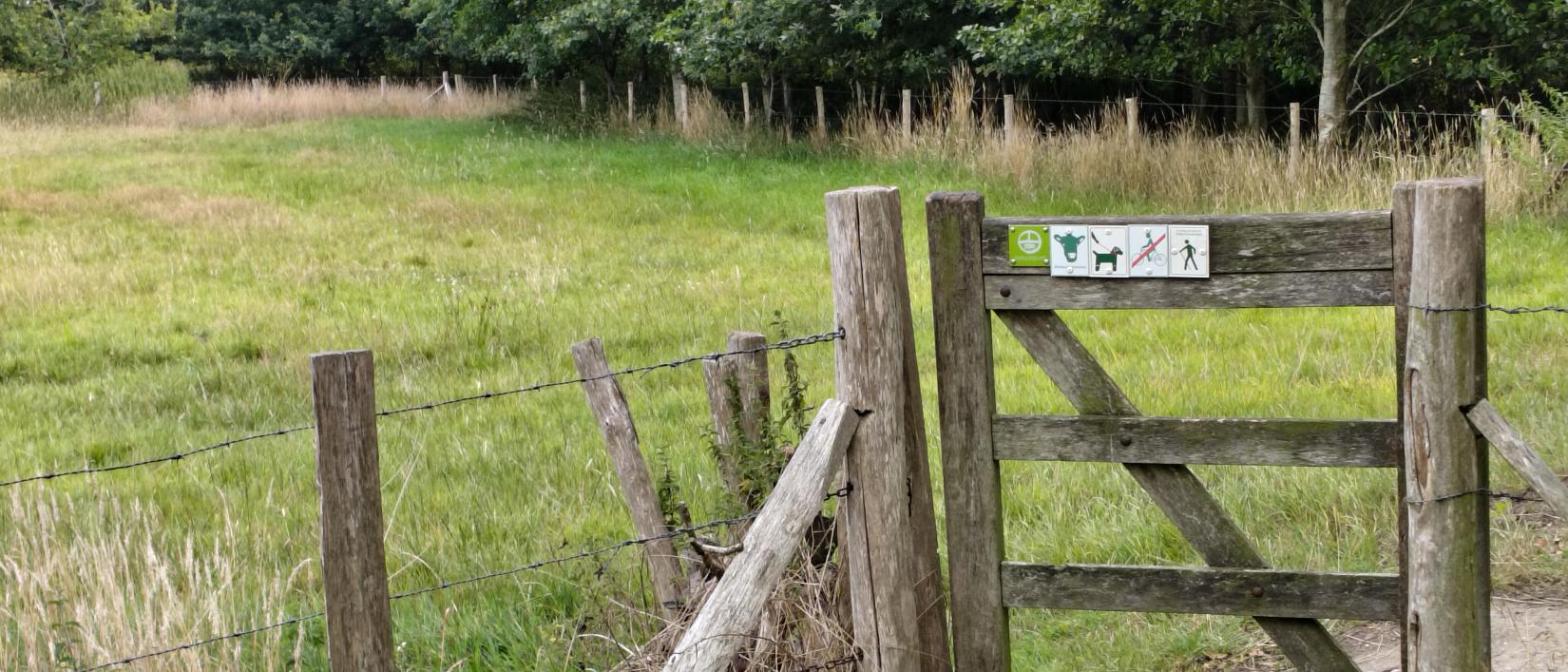 Dagwandeling