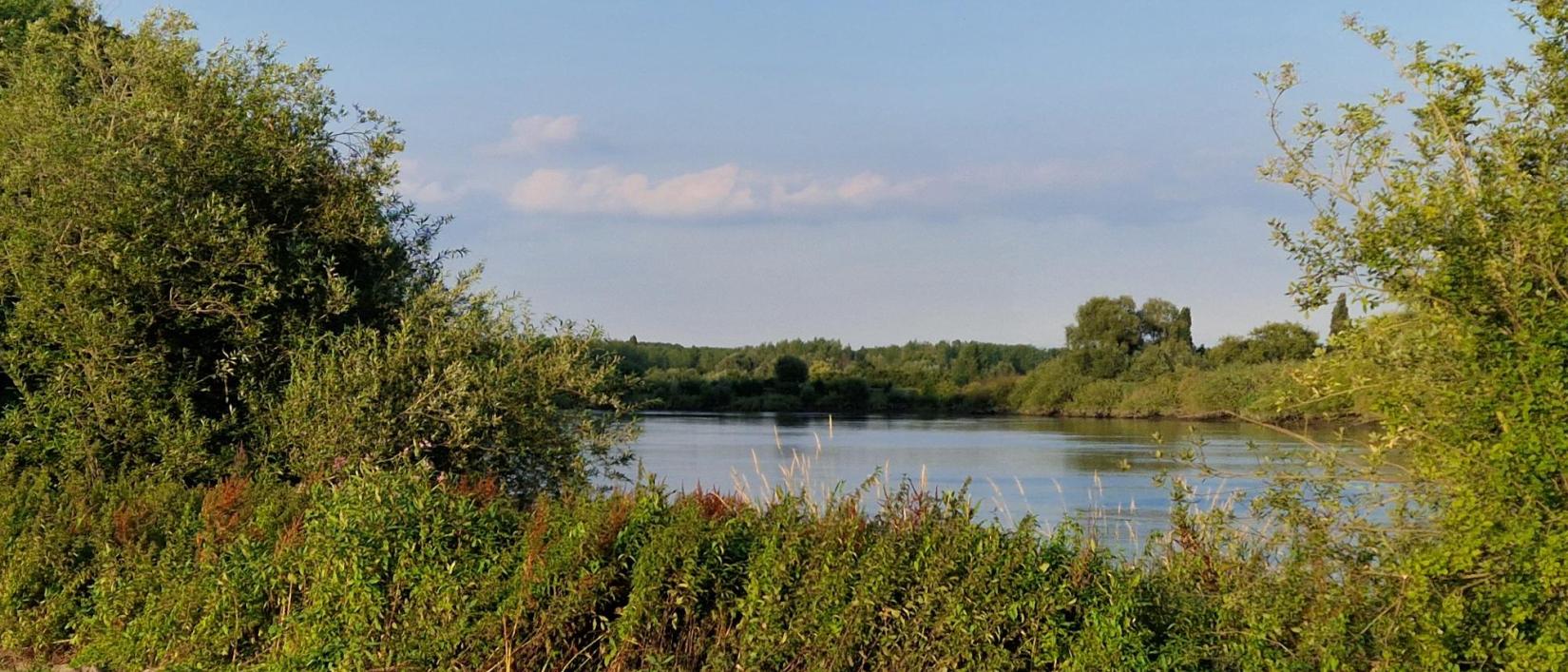 Het is heerlijk wandelen op de vele dijken van het mooie Scheldelandschap.