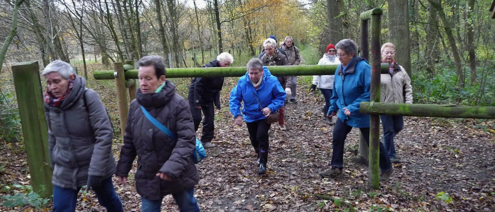 Groep wandellaars