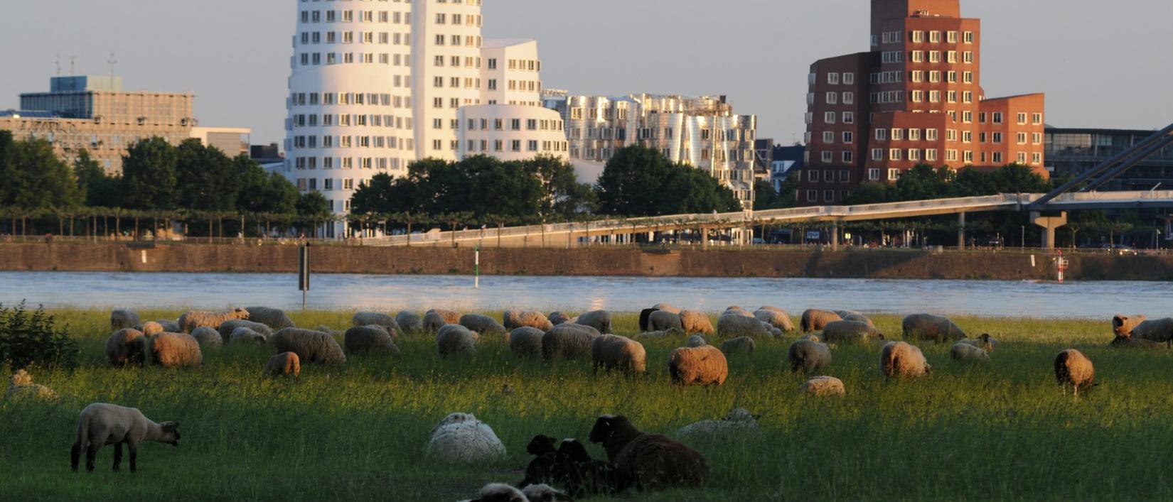 Düsseldorf