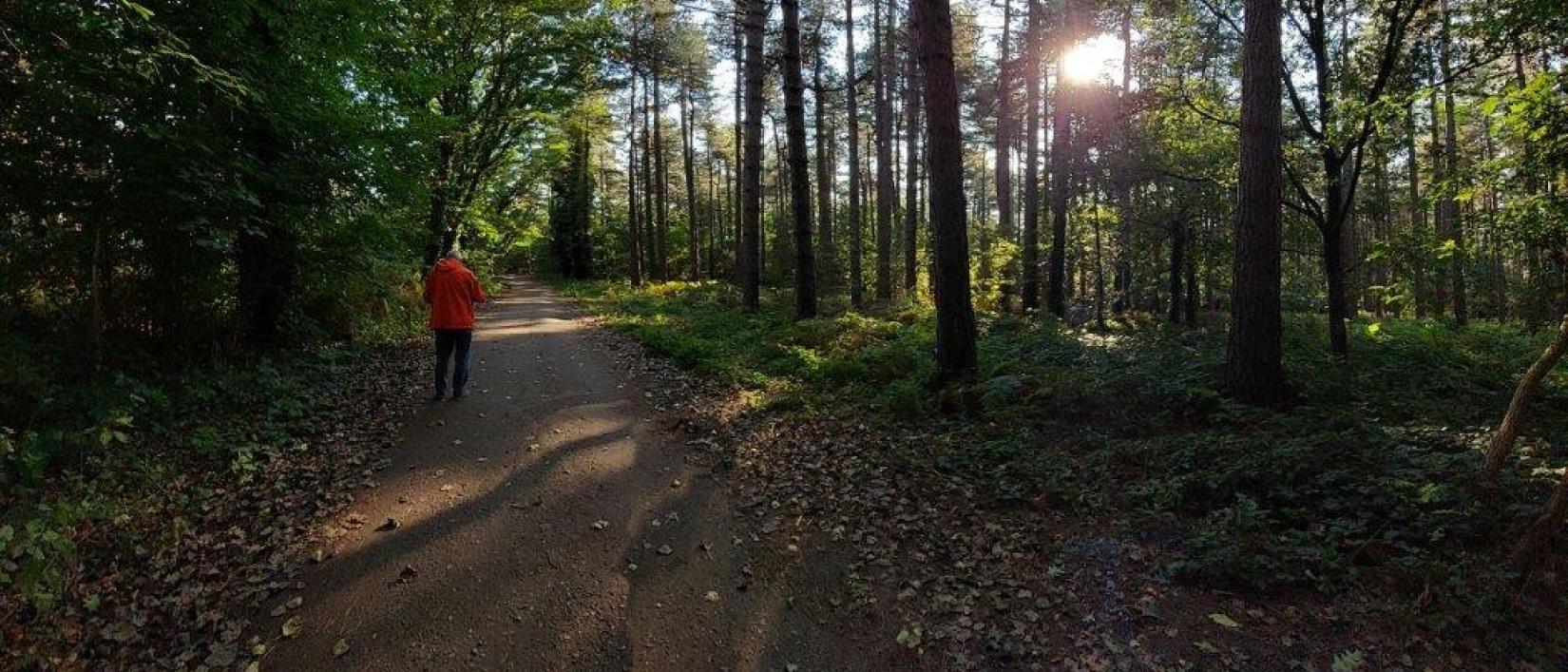 Een beeld van de wandeling