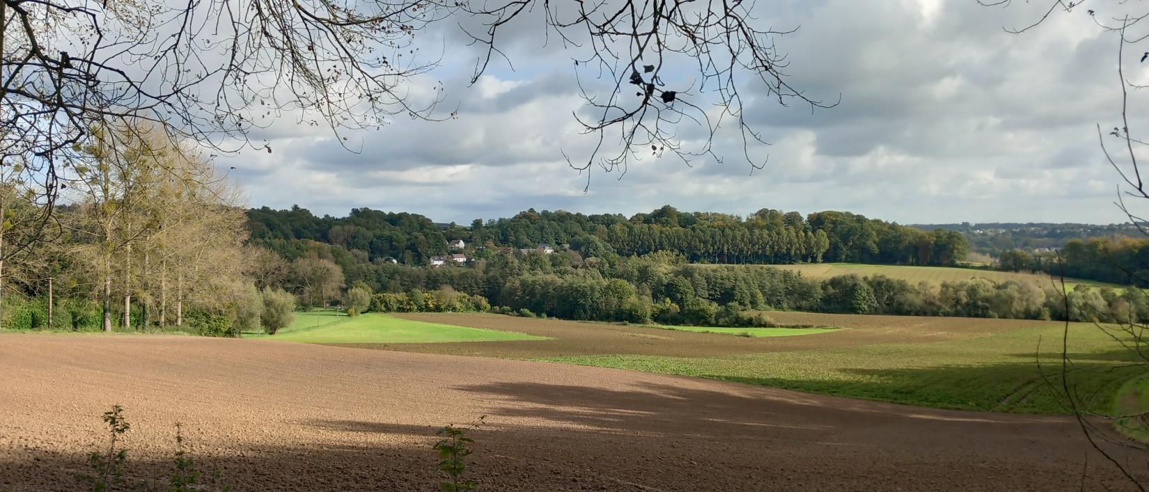 Landschapsfoto