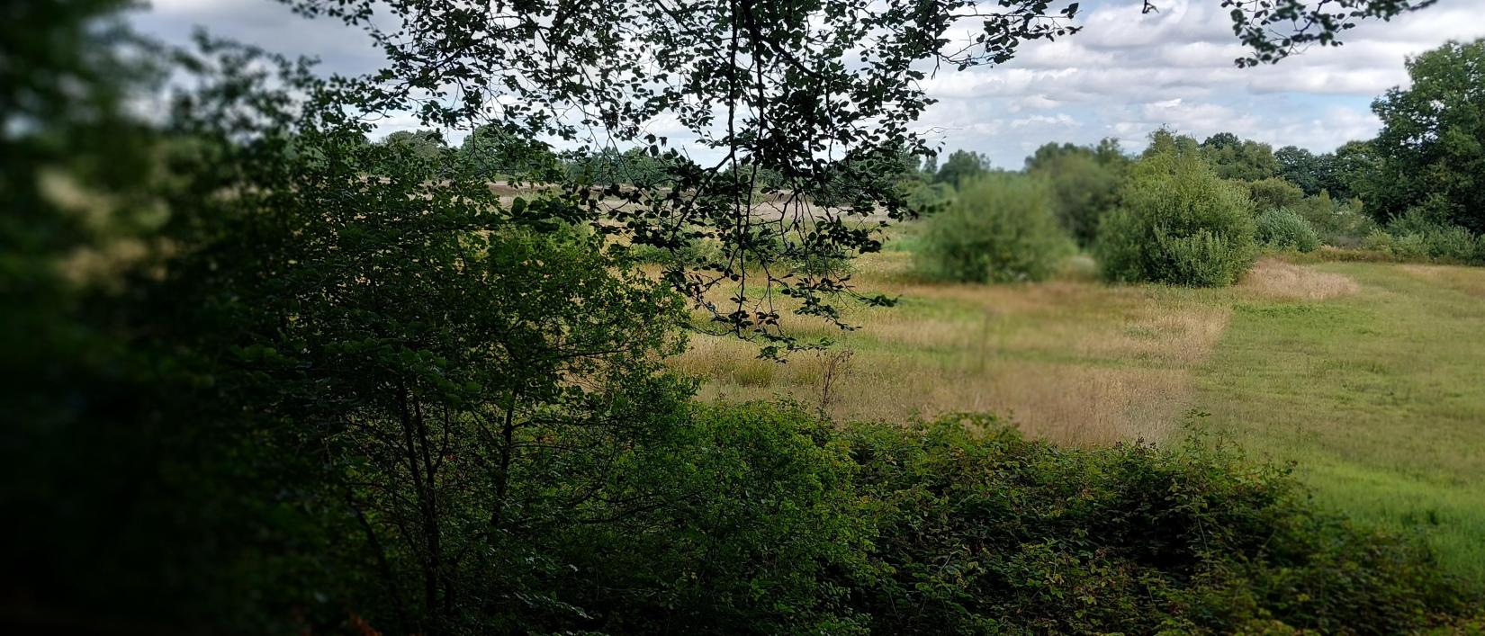 wandeling Zundert